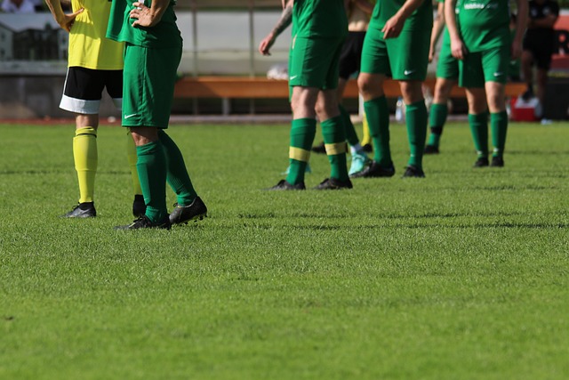 为湖北省发 为湖北省发