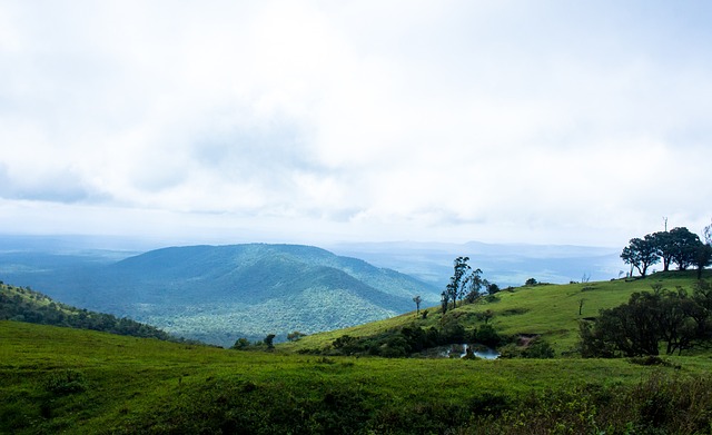 馬競真要花4000萬歐元送奧莫羅迪翁給切爾西？.