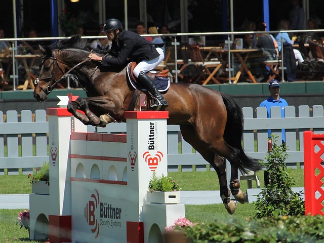 的运营和战 的运营和战