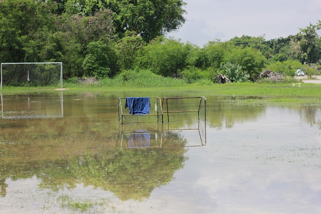 他们的品牌 他们的品牌
