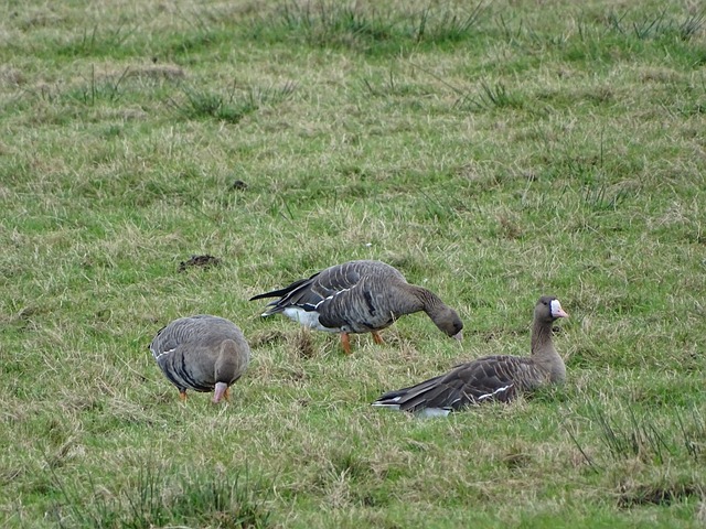 发挥的潜力 发挥的潜力