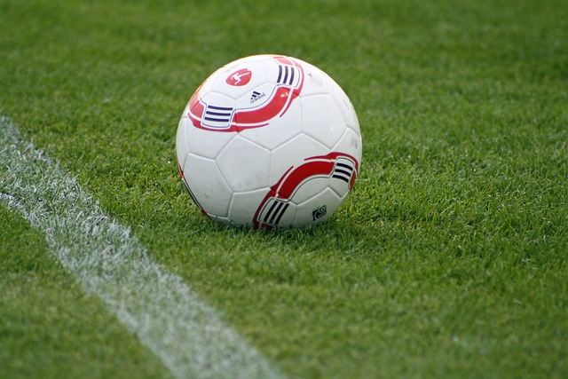 五中学的选 五中学的选