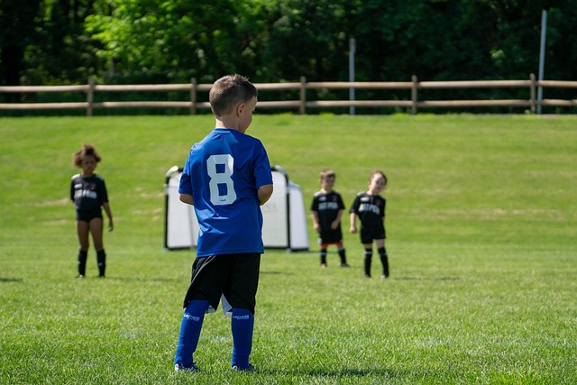 羽毛球发展 羽毛球发展